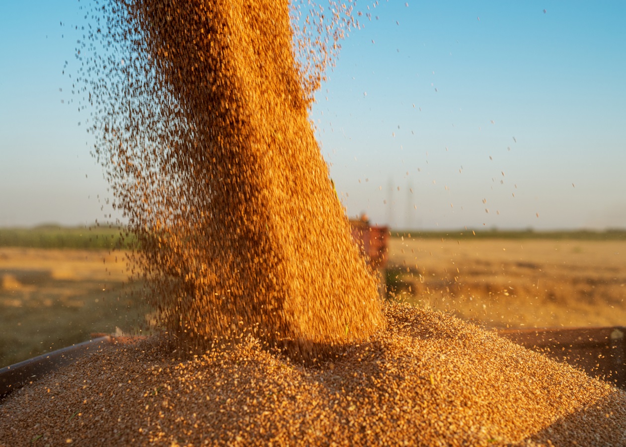 Молдова скасує обмеження на імпорт зерна з України