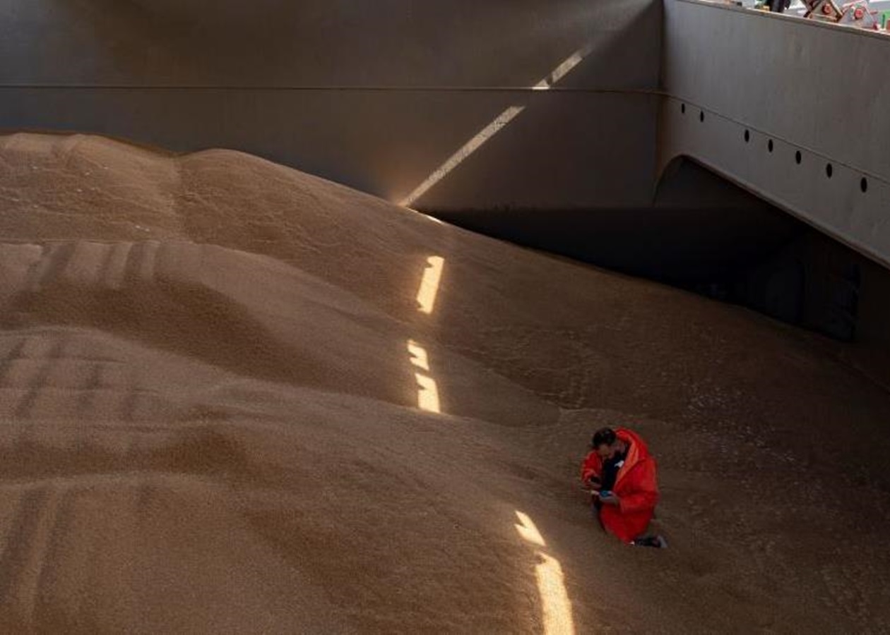 Польща пожалілася в Раду ЄС на агроімпорт з України – ЗМІ